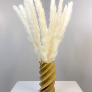 فازة 004